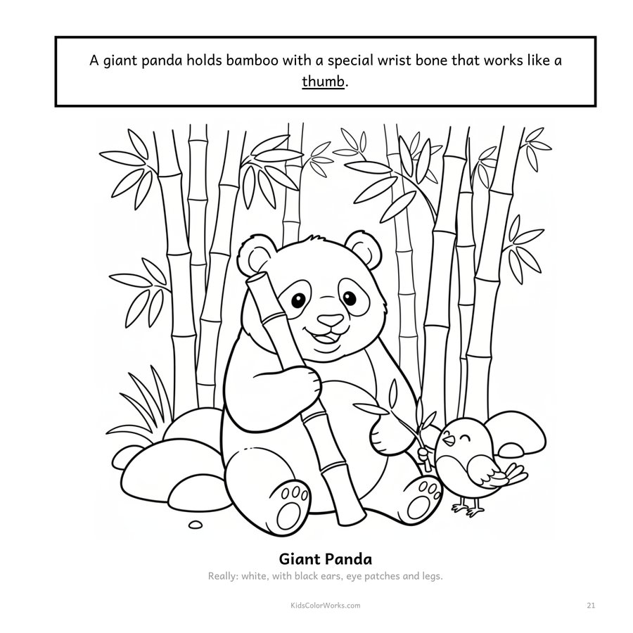 Color the Facts: Animals — inside page 2
